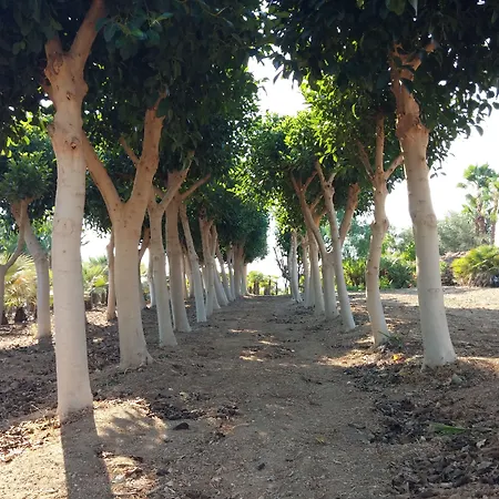 Bed & Breakfast Lekythos 4*