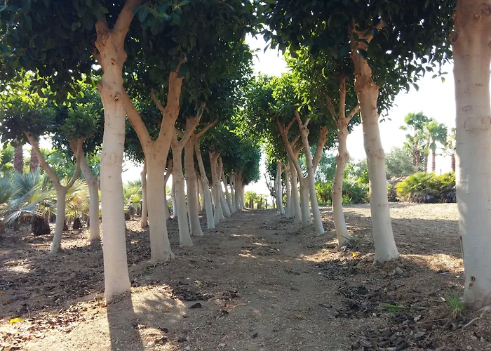 Couette-café Lekythos 4*